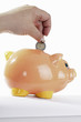 piggy bank with hand with euro coin on rhe white background piggy bank with hand with euro coin on rhe white background