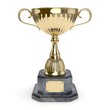 Pokal