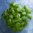 Basilico - Ocimum basilicum