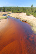 Photo: Peaty river, Jizerka Peaty river, Jizerka