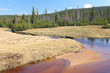 Photo: Jizerka River, Jizera Mountains Jizerka River, Jizera Mountains