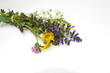 Wildblumenstrauß