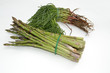 Grüner Spargel mit Agretti