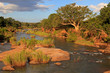 Foto: Krüger Nationalpark Krüger Nationalpark