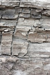 holzstruktur