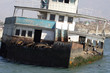 Abandoned ship with sea lions01 Abandoned ship with sea lions01