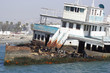 Abandoned ship with sea lions Abandoned ship with sea lions