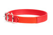 red collar isolated over white background