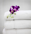 Purple orchid on white towels Purple orchid on white towels