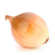 Onion