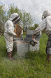 Foto: apiculteurs au travail apiculteurs au travail