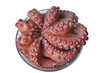 Pulpo entero cocido de Galicia