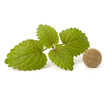 Herbal pills