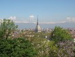 Turin view