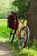 Bike and backpack among the green of nature in spring