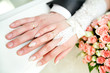 Hands of the groom and the bride with wedding rings