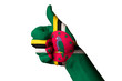 dominica national flag thumb up gesture for excellence and achie dominica national flag thumb up gesture for excellence and achie
