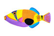 Blackpatch Triggerfish