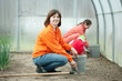 family works in greenhouse family works in greenhouse