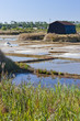 saline, Port des Salines, Oleron Island, Poitou-Charentes, Franc