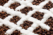still life of coffee and sugar
