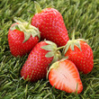 canvas print picture - strawberry
