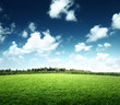 field of grass and perfect sky field of grass and perfect sky