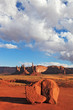 The  cliffs of various forms of Monument Valley