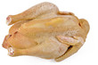 raw chicken on a white background raw chicken on a white background