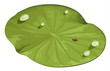 Lotus Leaf