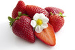 Fraises et Fleur
