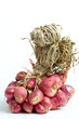 shallots on isolated white