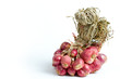 Shallots on isolated white