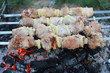 Kebabs grilled meat on metal skewers