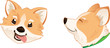 Pembroke Welsh Corgi Dog Head