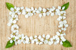 White flowers on burlap