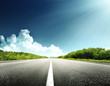 road in forest