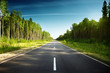 road in Russian forest