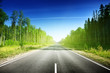 road in Russian forest