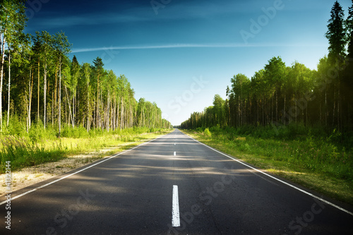 Photo: road in Russian forest road in Russian forest