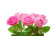 Blumenstrauss