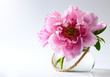 spring flowers in vase on white background