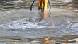 Bucket dredging machines Bucket dredging machines