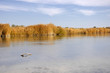 river
