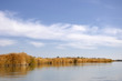 river