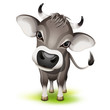 Vetor: Little swiss cow Little swiss cow