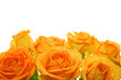 flower background