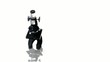 Microscope With Background White