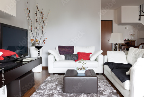 Foto: Interior decoration of a living room, sofa and tv Interior decoration of a living room, sofa and tv