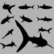 vector shark set